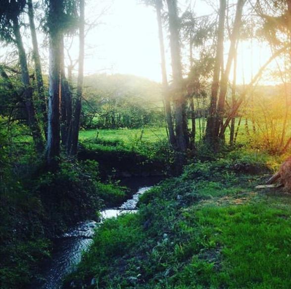 مبيت وإفطار Mézilles Le Moulin De Corneil المظهر الخارجي الصورة